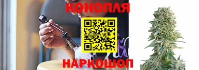 гашик Нальчик